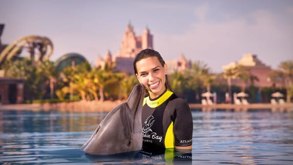 ВОЗМОЖНОСТИ